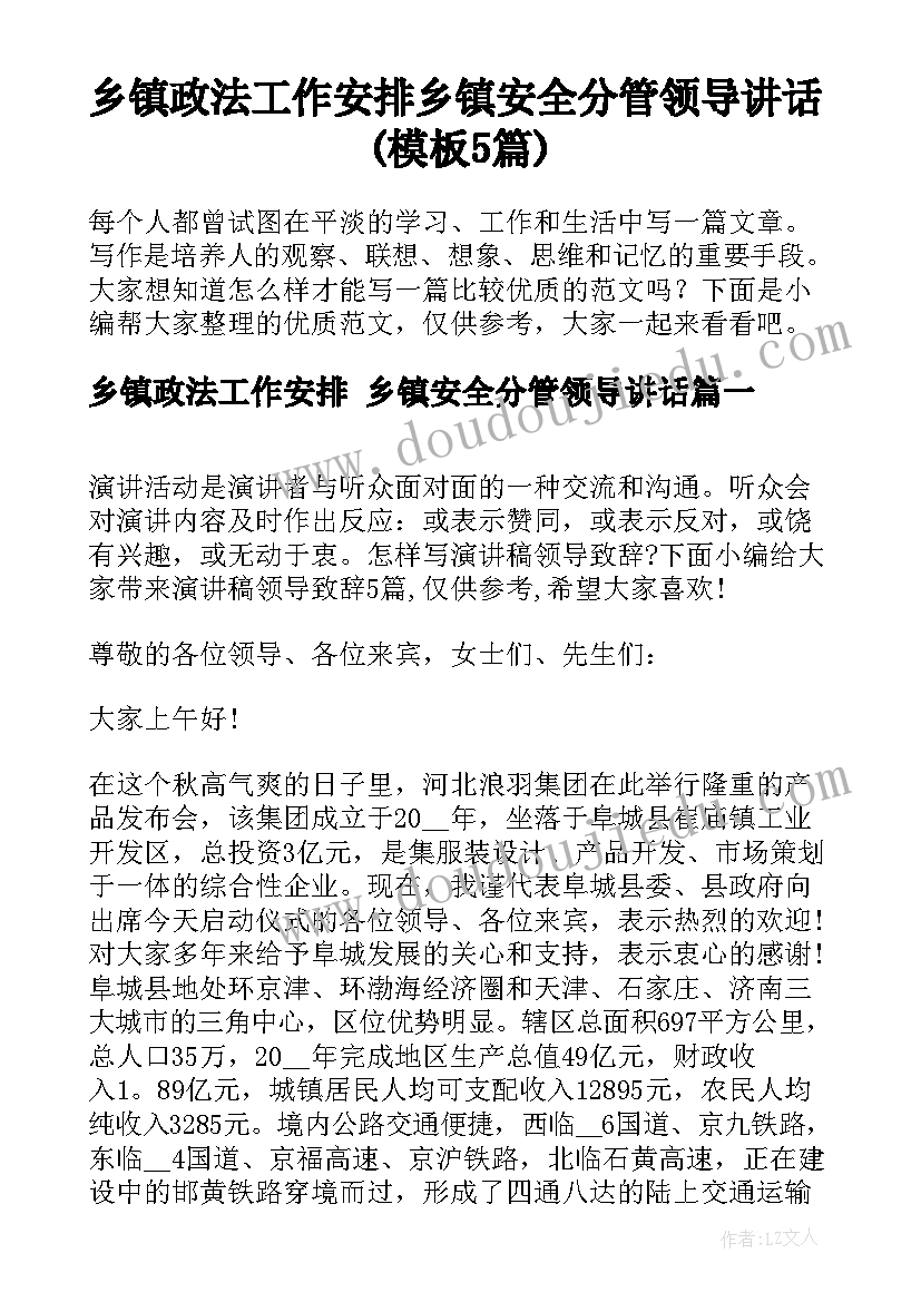 乡镇政法工作安排 乡镇安全分管领导讲话(模板5篇)