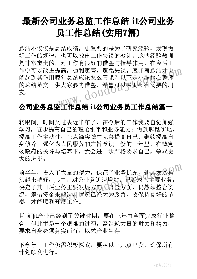 最新公司业务总监工作总结 it公司业务员工作总结(实用7篇)