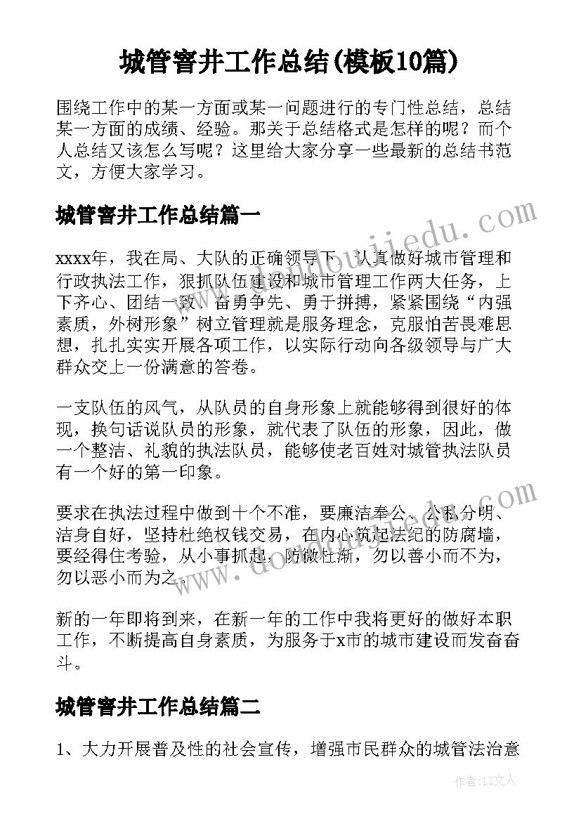 城管窨井工作总结(模板10篇)