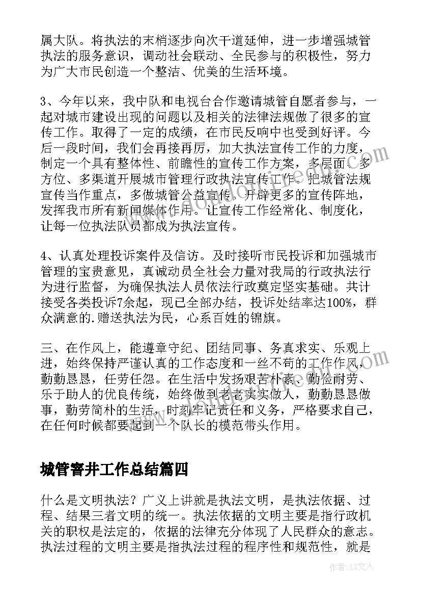 城管窨井工作总结(模板10篇)