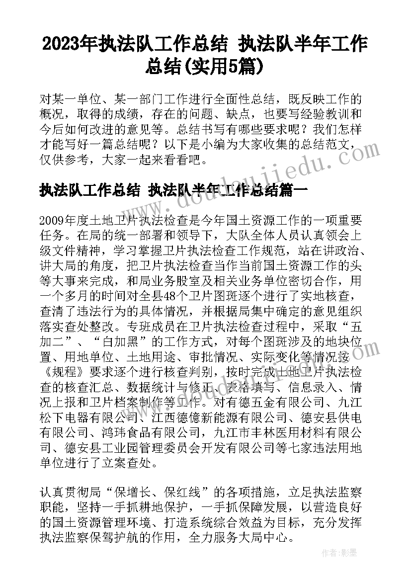 2023年执法队工作总结 执法队半年工作总结(实用5篇)