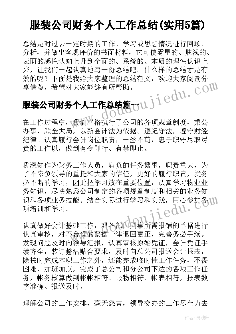 服装公司财务个人工作总结(实用5篇)