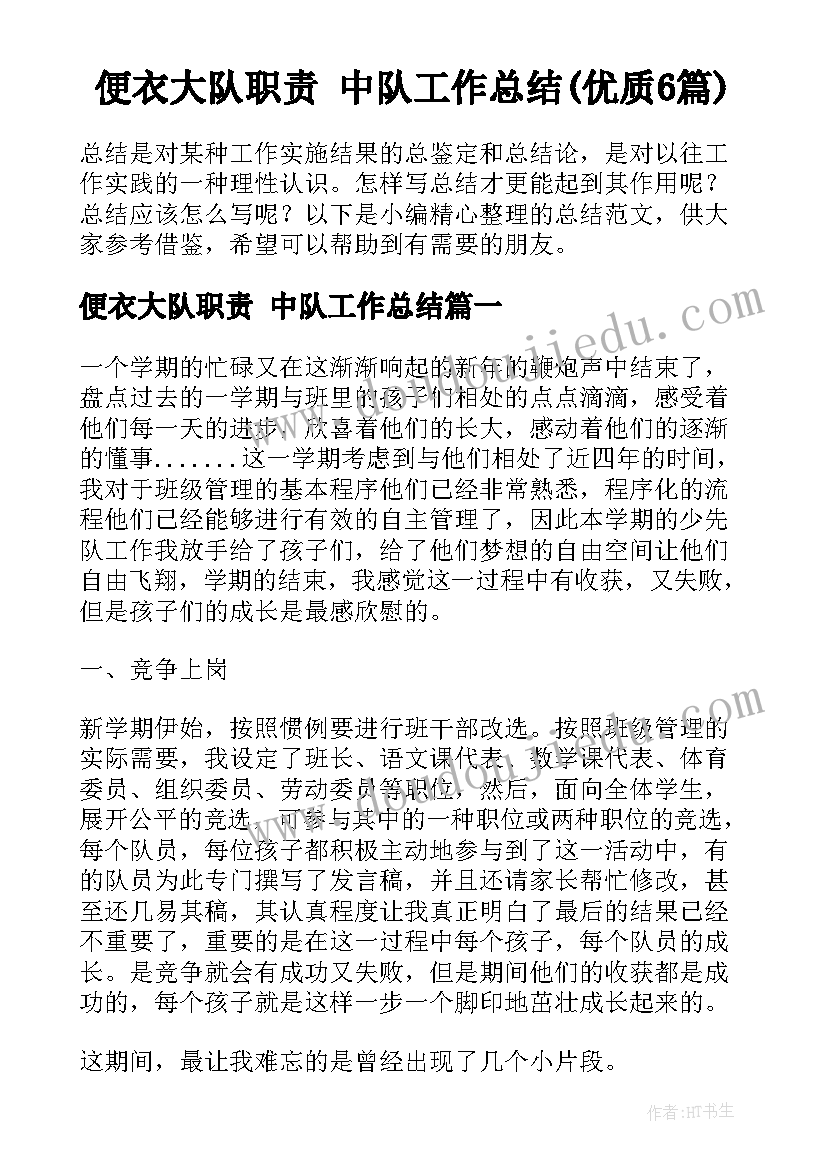 便衣大队职责 中队工作总结(优质6篇)