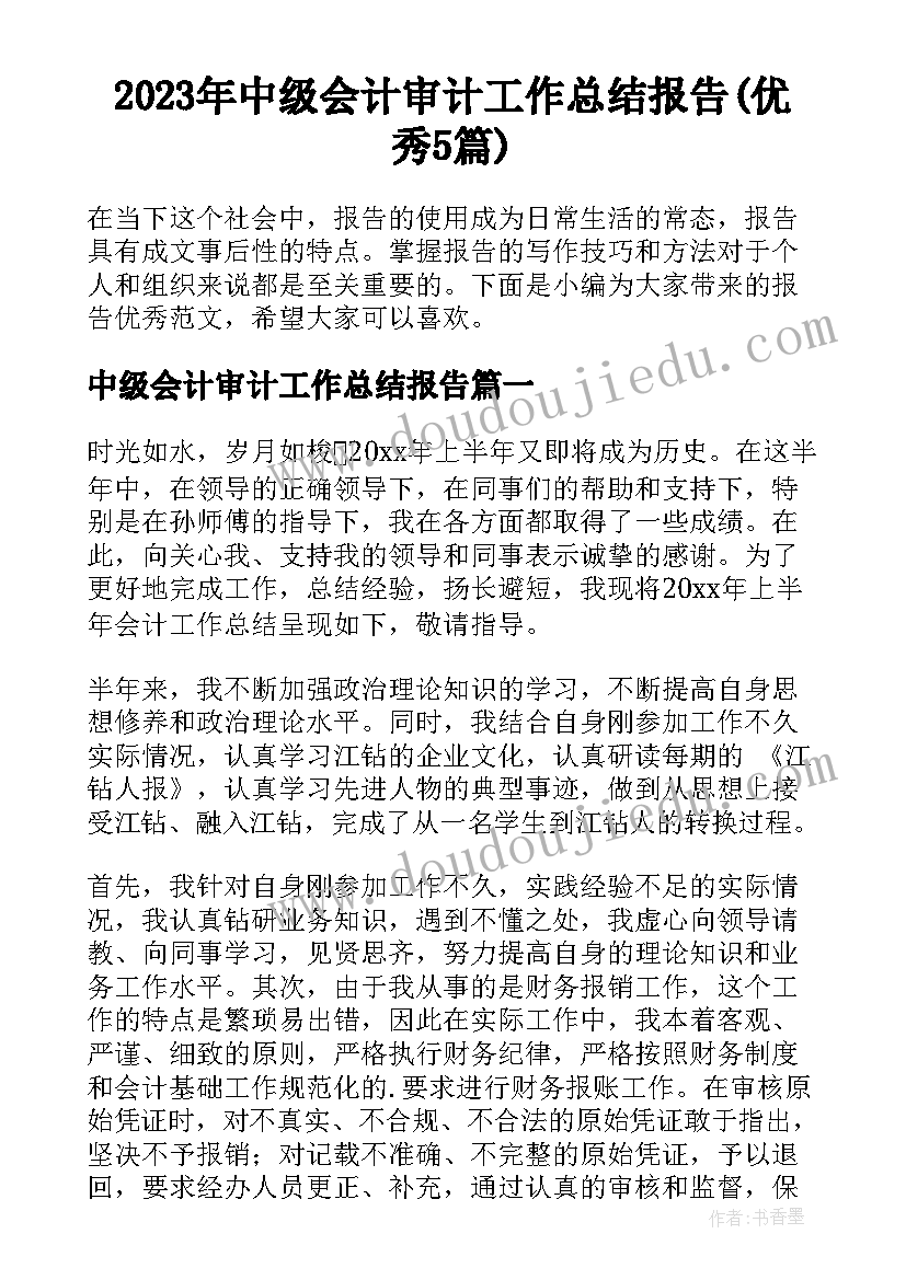 2023年中级会计审计工作总结报告(优秀5篇)