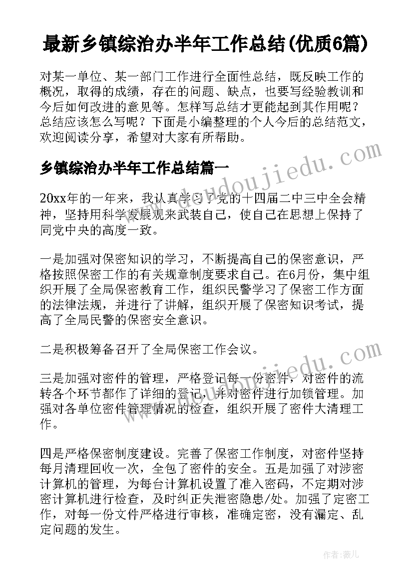 最新乡镇综治办半年工作总结(优质6篇)