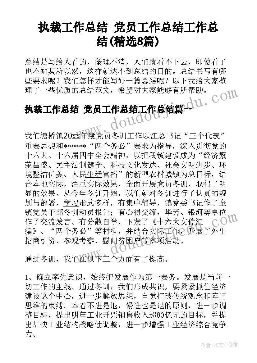 执裁工作总结 党员工作总结工作总结(精选8篇)