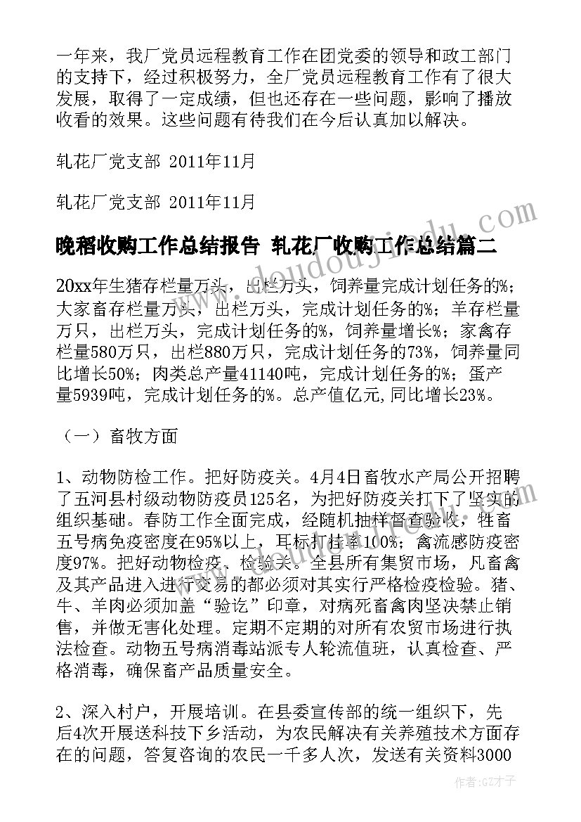 最新晚稻收购工作总结报告 轧花厂收购工作总结(优质5篇)