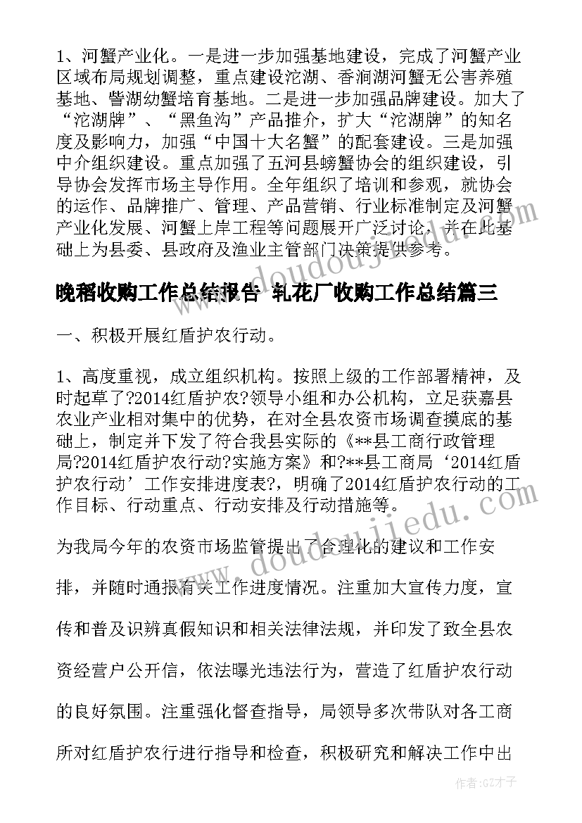 最新晚稻收购工作总结报告 轧花厂收购工作总结(优质5篇)