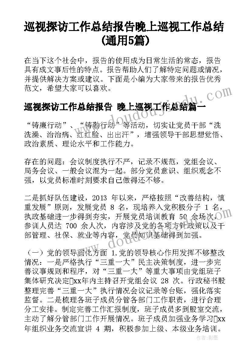 巡视探访工作总结报告 晚上巡视工作总结(通用5篇)