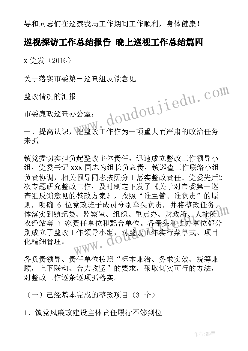 巡视探访工作总结报告 晚上巡视工作总结(通用5篇)