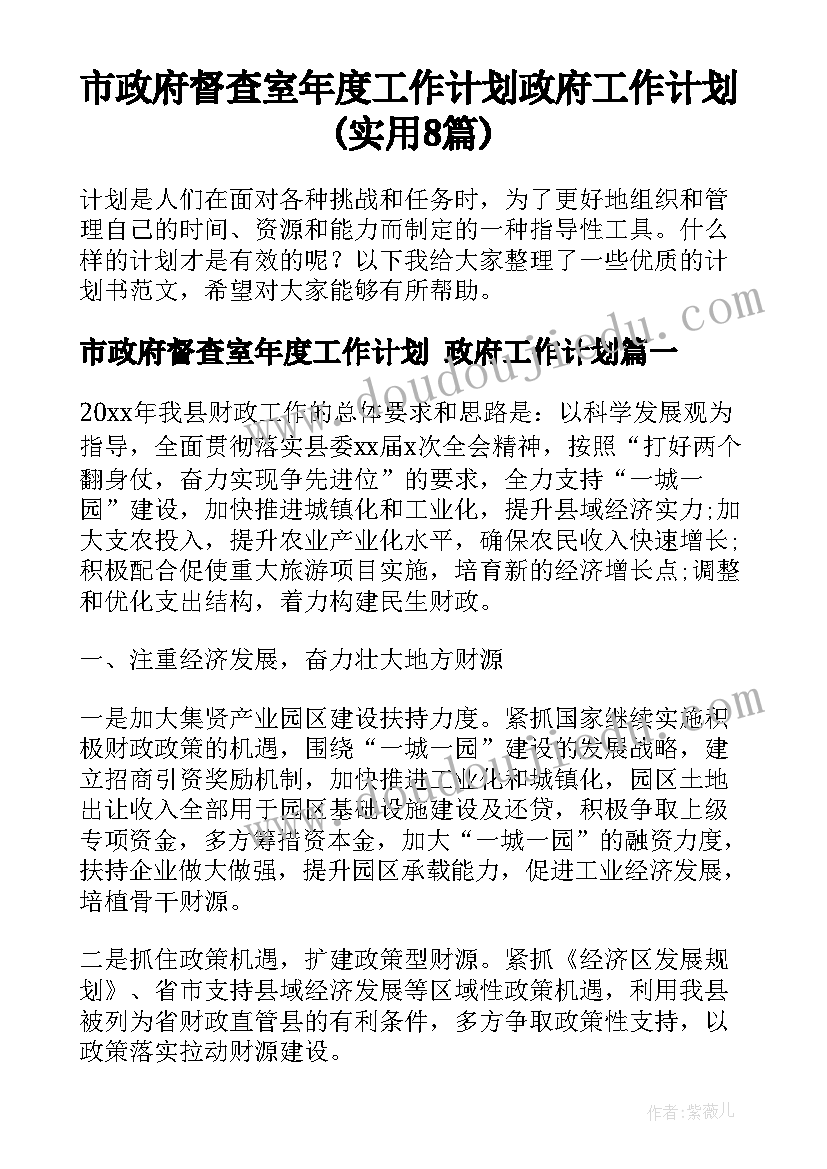 市政府督查室年度工作计划 政府工作计划(实用8篇)