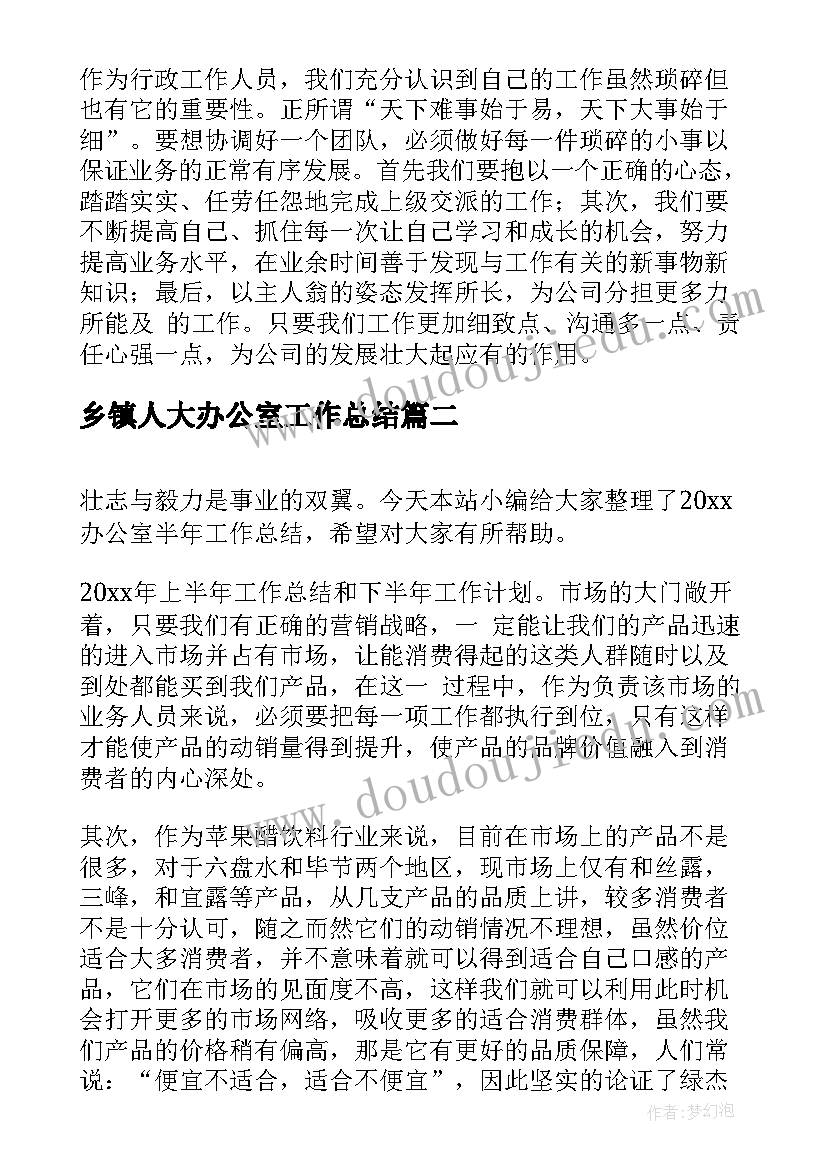 乡镇人大办公室工作总结(汇总10篇)