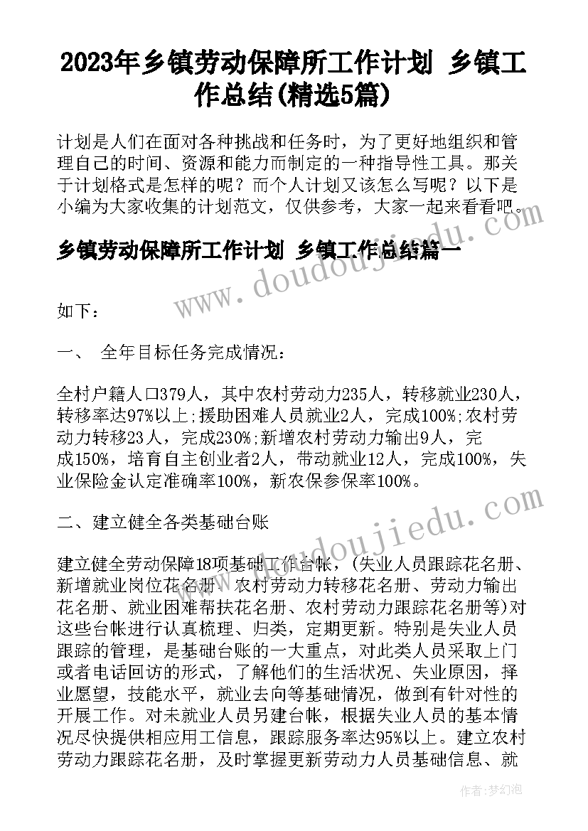 2023年乡镇劳动保障所工作计划 乡镇工作总结(精选5篇)