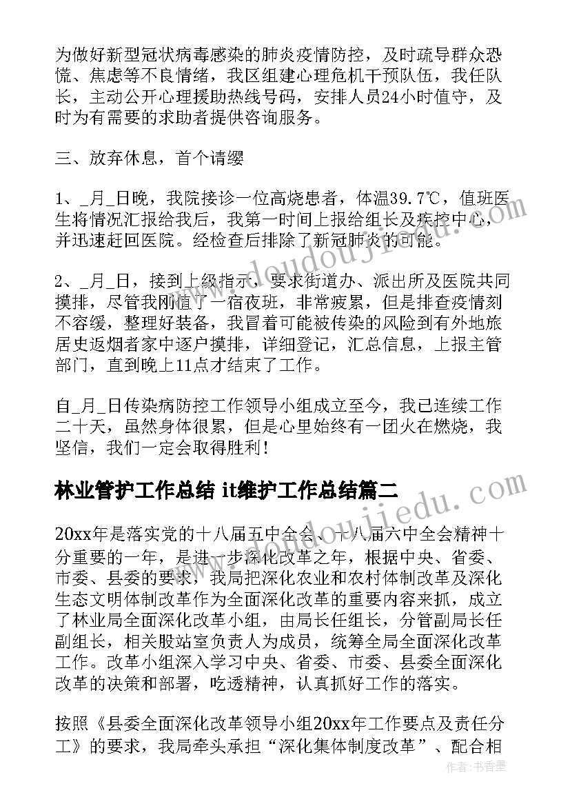 最新林业管护工作总结 it维护工作总结(模板8篇)