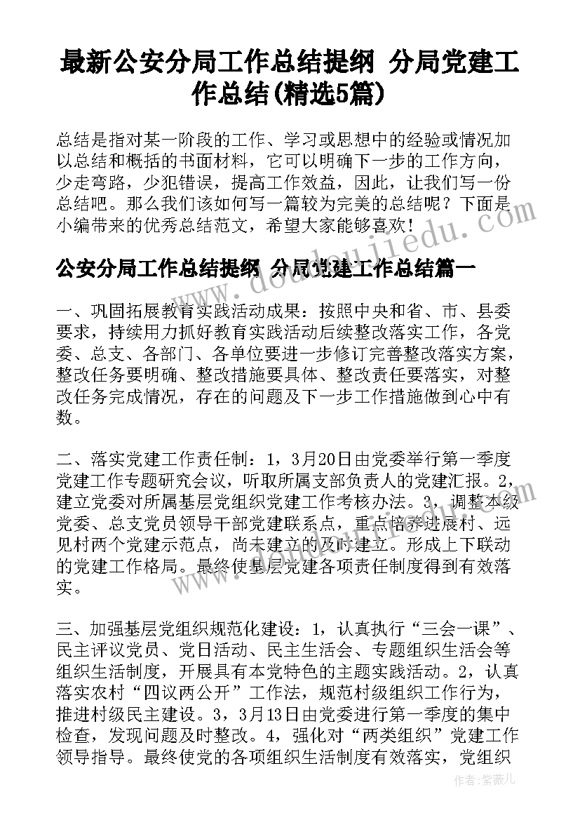 最新公安分局工作总结提纲 分局党建工作总结(精选5篇)