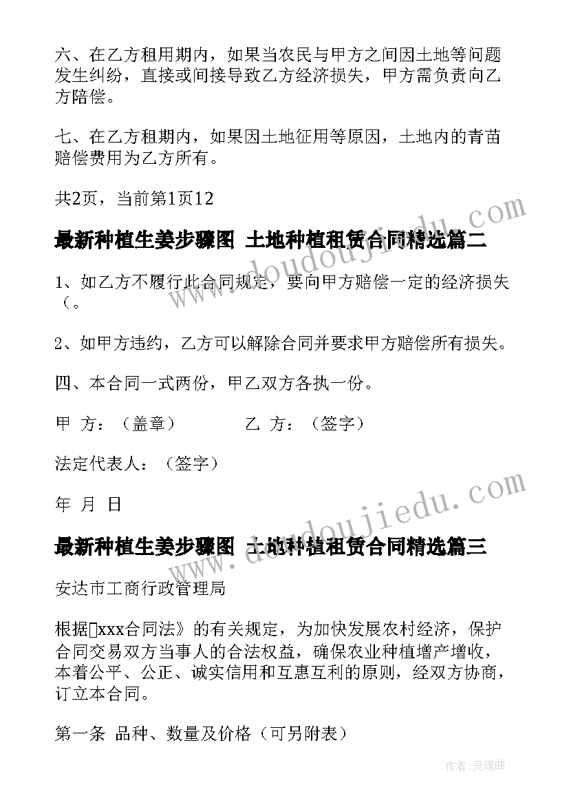 最新种植生姜步骤图 土地种植租赁合同(实用7篇)