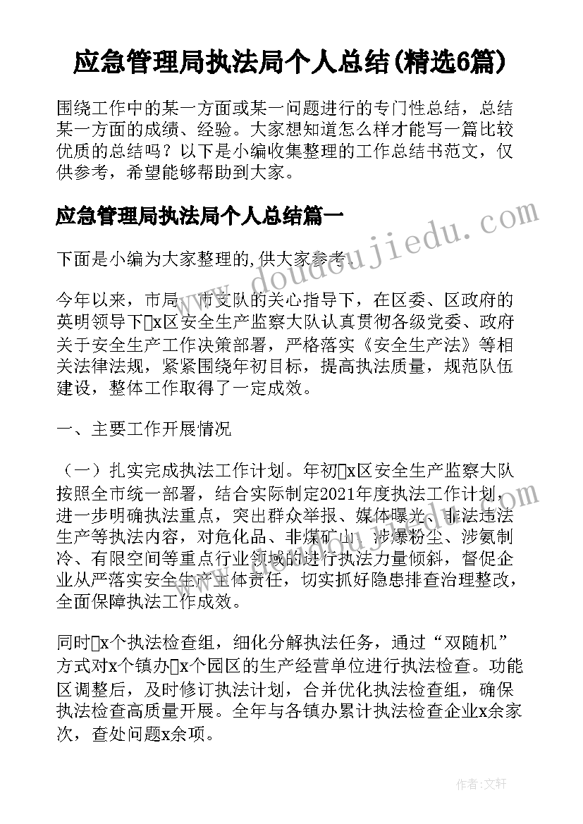 应急管理局执法局个人总结(精选6篇)