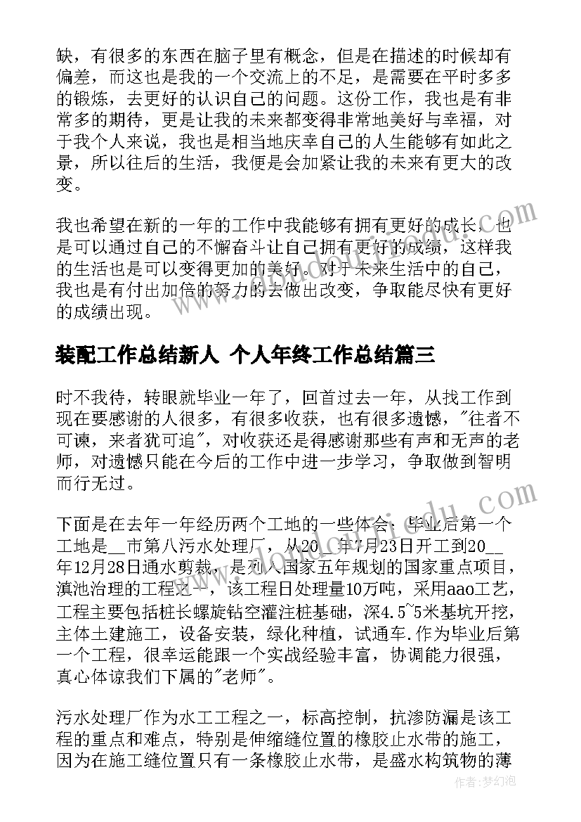 装配工作总结新人 个人年终工作总结(模板6篇)