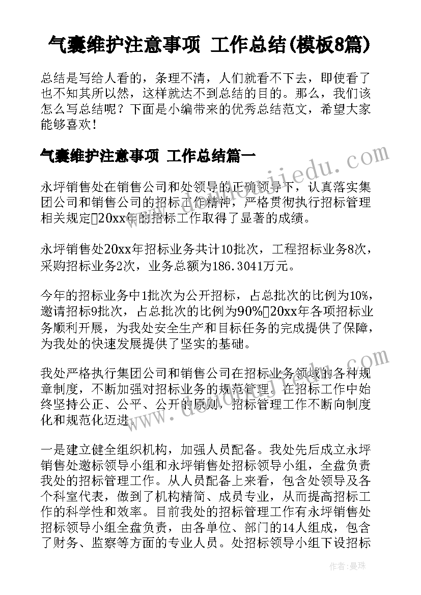 气囊维护注意事项 工作总结(模板8篇)