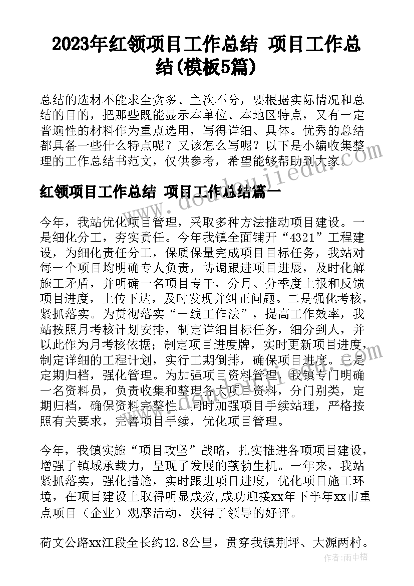 2023年红领项目工作总结 项目工作总结(模板5篇)