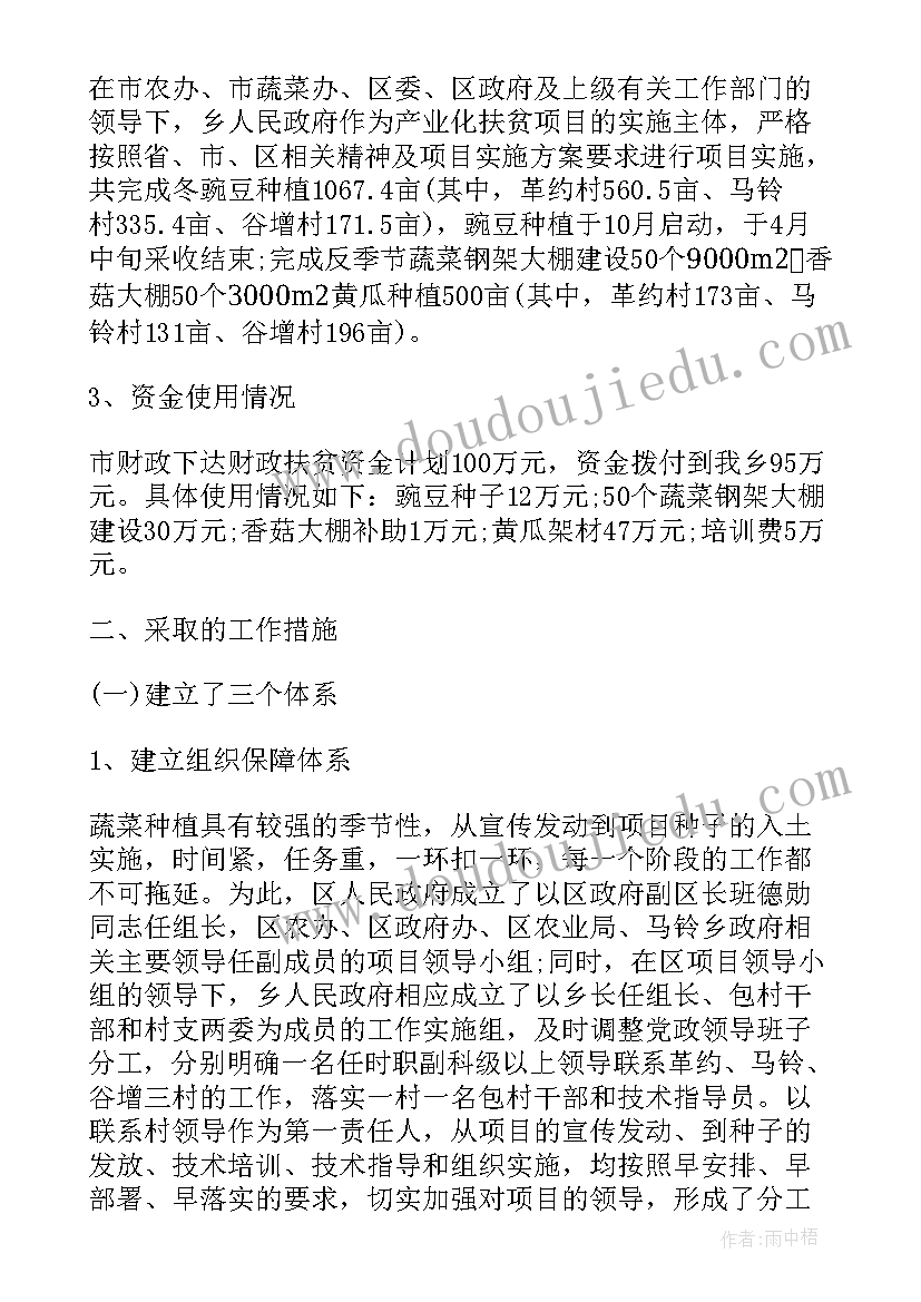 2023年红领项目工作总结 项目工作总结(模板5篇)