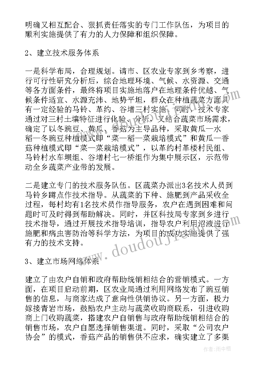 2023年红领项目工作总结 项目工作总结(模板5篇)