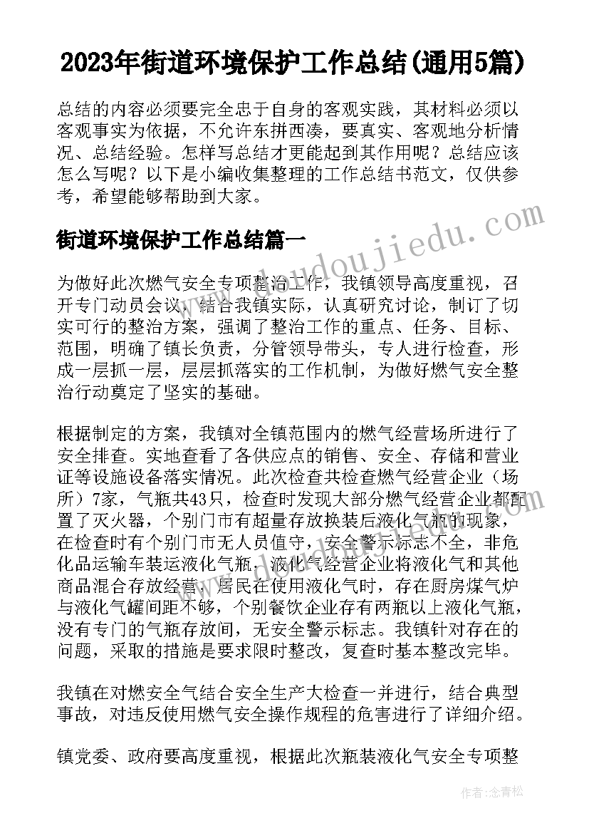 2023年街道环境保护工作总结(通用5篇)