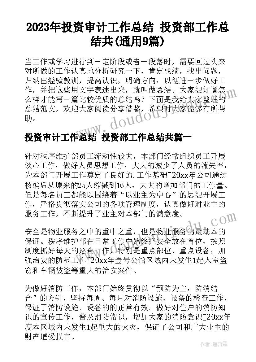 2023年投资审计工作总结 投资部工作总结共(通用9篇)