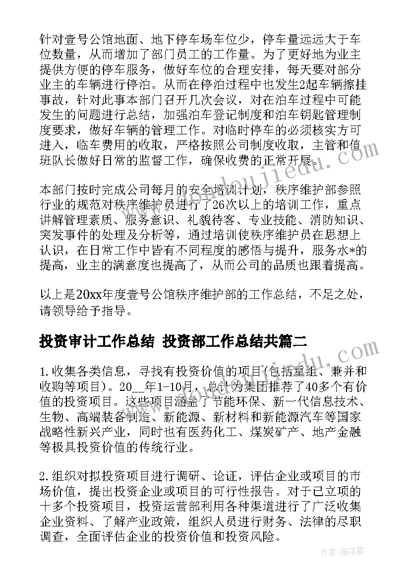 2023年投资审计工作总结 投资部工作总结共(通用9篇)