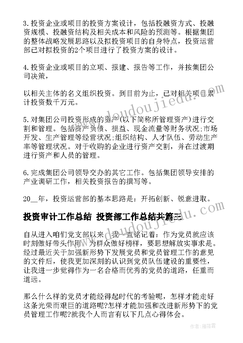 2023年投资审计工作总结 投资部工作总结共(通用9篇)