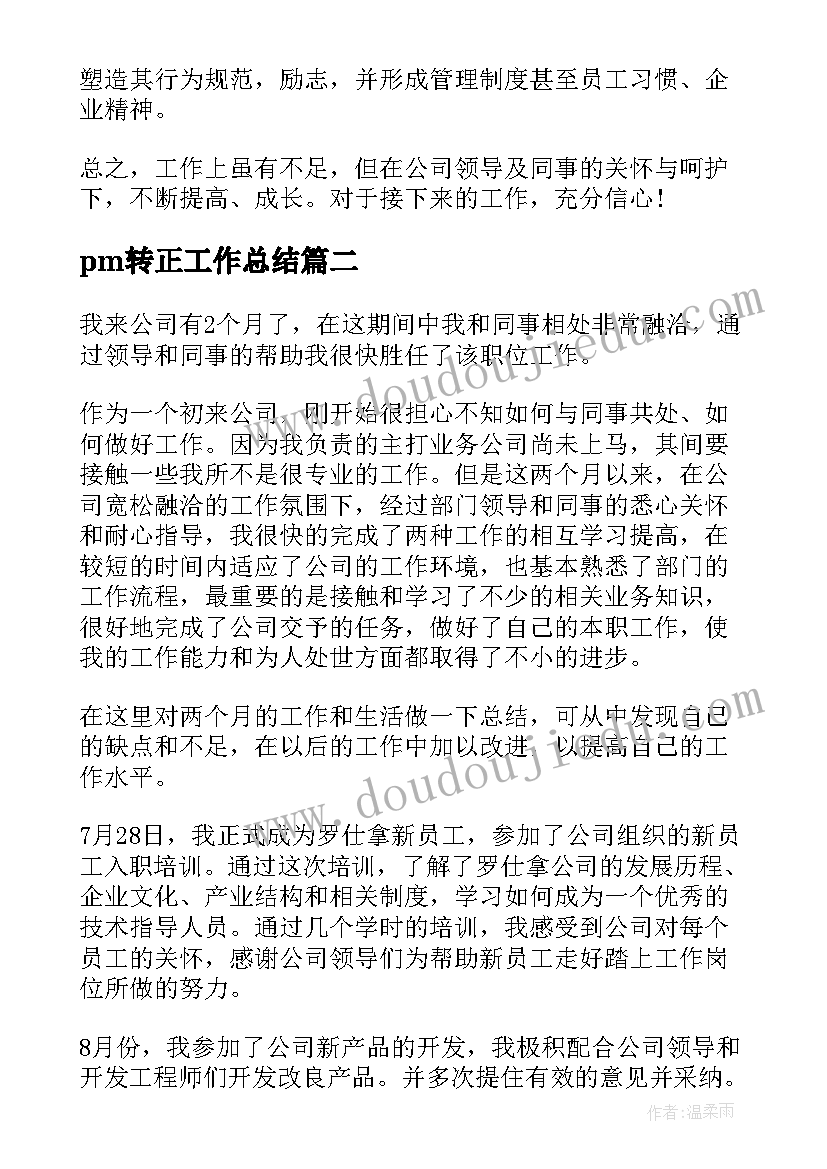 2023年pm转正工作总结(汇总5篇)