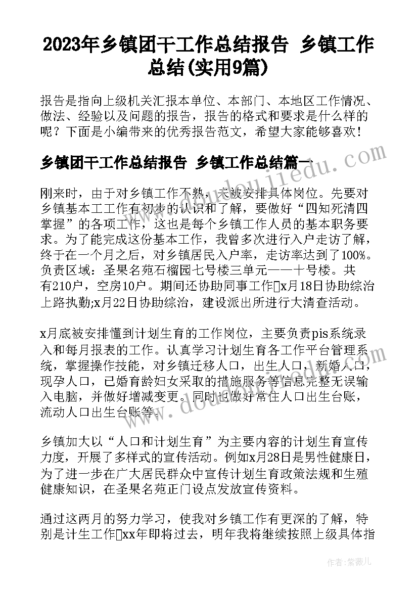 2023年乡镇团干工作总结报告 乡镇工作总结(实用9篇)