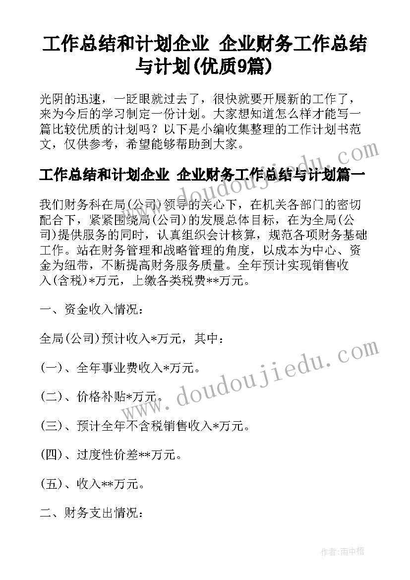 工作总结和计划企业 企业财务工作总结与计划(优质9篇)