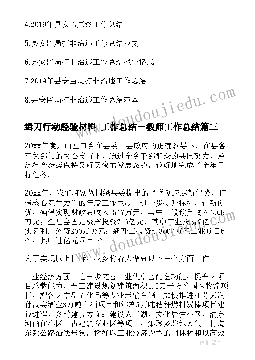 缉刀行动经验材料 工作总结－教师工作总结(大全9篇)