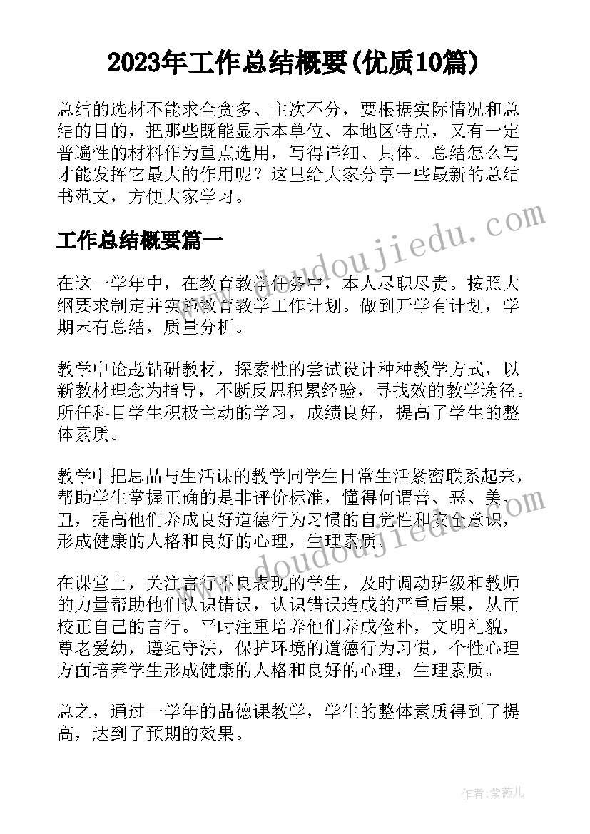 2023年工作总结概要(优质10篇)