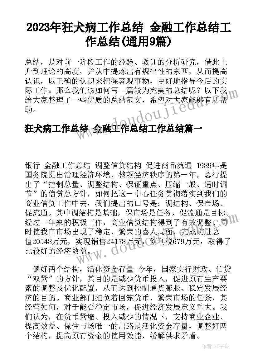 2023年狂犬病工作总结 金融工作总结工作总结(通用9篇)