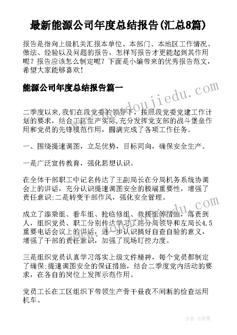 最新能源公司年度总结报告(汇总8篇)