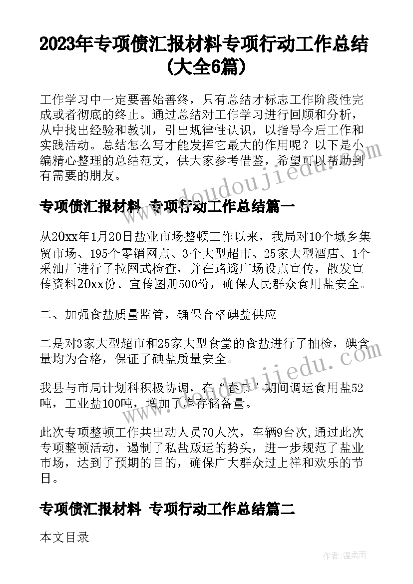 2023年专项债汇报材料 专项行动工作总结(大全6篇)