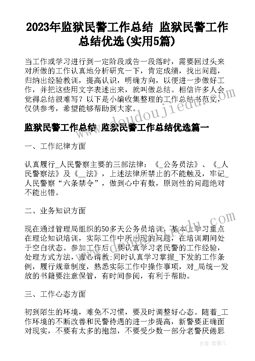 2023年监狱民警工作总结 监狱民警工作总结优选(实用5篇)