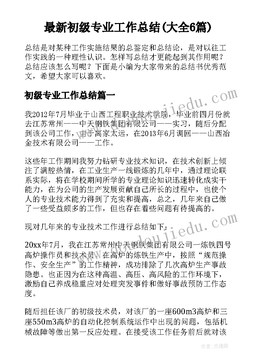 最新初级专业工作总结(大全6篇)