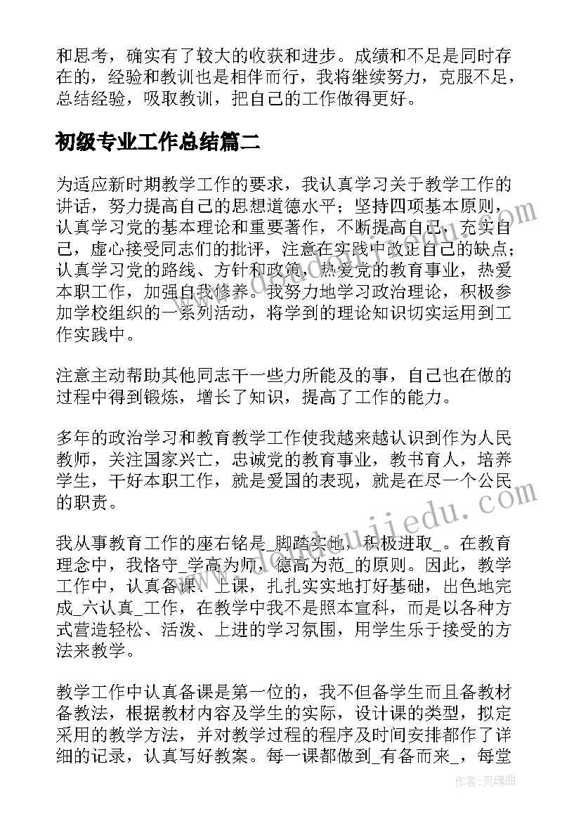 最新初级专业工作总结(大全6篇)