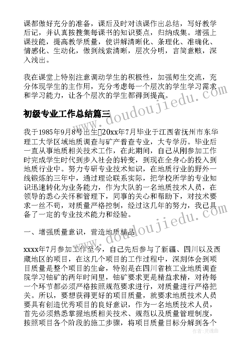 最新初级专业工作总结(大全6篇)