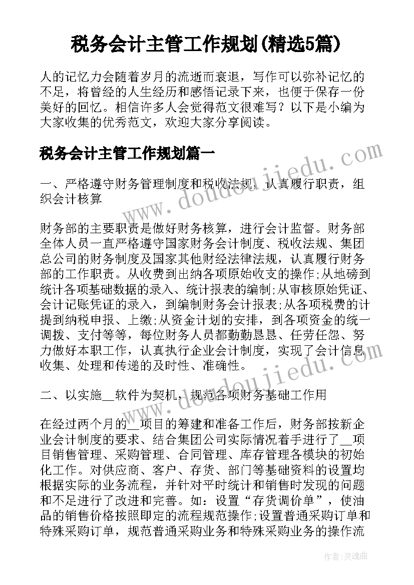 税务会计主管工作规划(精选5篇)