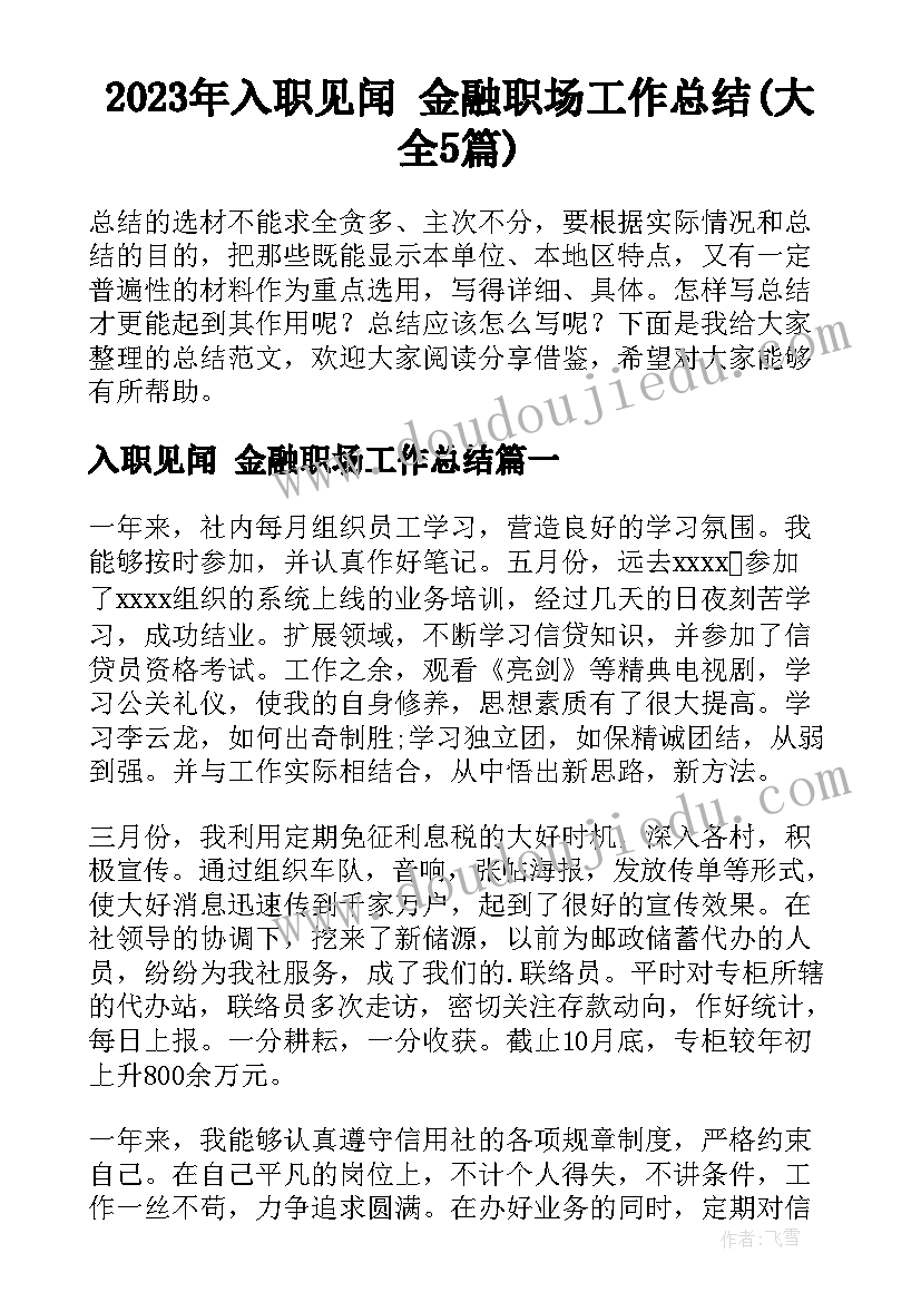 2023年入职见闻 金融职场工作总结(大全5篇)