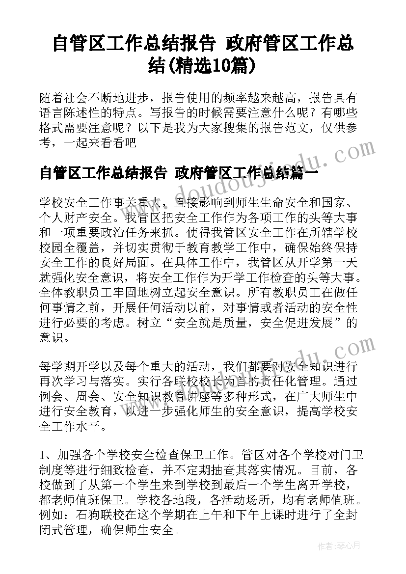 自管区工作总结报告 政府管区工作总结(精选10篇)