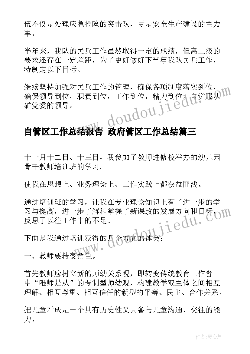 自管区工作总结报告 政府管区工作总结(精选10篇)