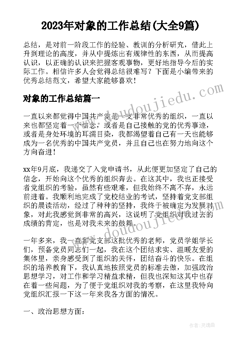 2023年对象的工作总结(大全9篇)