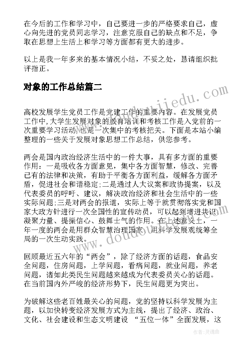 2023年对象的工作总结(大全9篇)