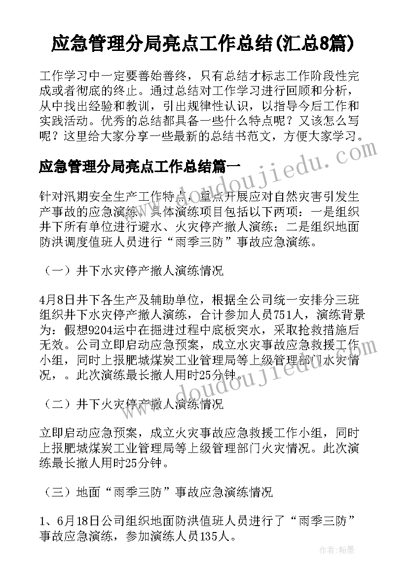 应急管理分局亮点工作总结(汇总8篇)