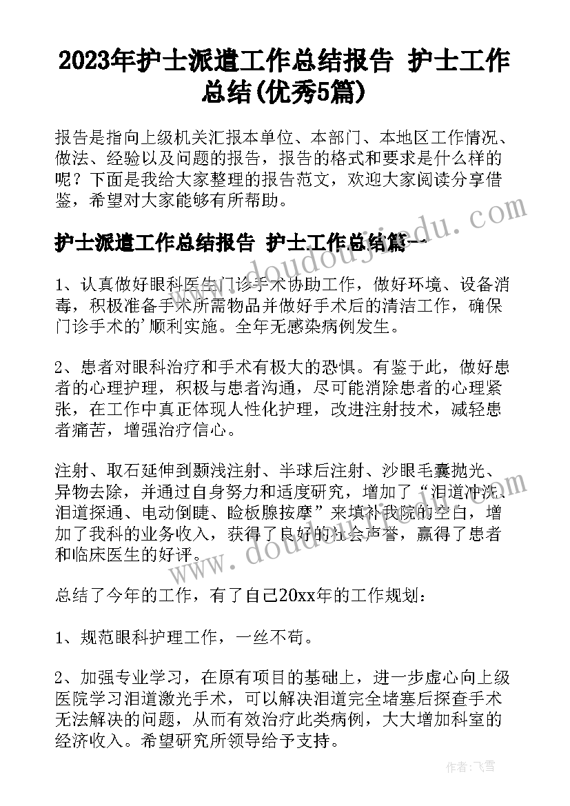 2023年护士派遣工作总结报告 护士工作总结(优秀5篇)